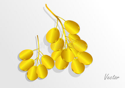 白色背景上的金色葡萄。矢量插图