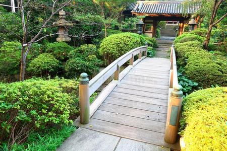 风景 花的 萨门 夏天 日本 公园 日本人 自然 流动 灌木