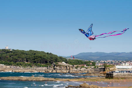 自由 海滨 海洋 海岸线 幸福 天空 季节 运动 海岸 空气