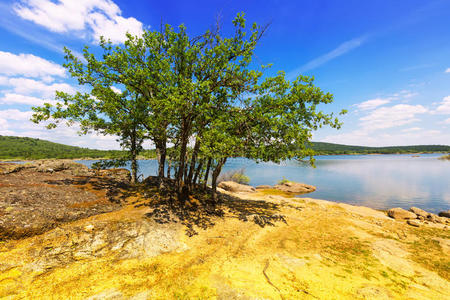 里约 反射 波佐 杜罗 欧洲 森林 岩石 索里亚 风景 自然