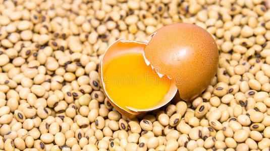 大豆背景上的鸡蛋
