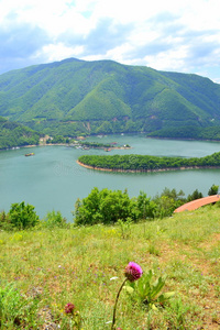 田园诗 美丽的 自然 草地 颜色 环境 目的地 海岸线 全景图