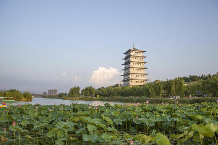 建筑 中国人 世界 旅行者 亚洲 省份 园艺 风景 摄影