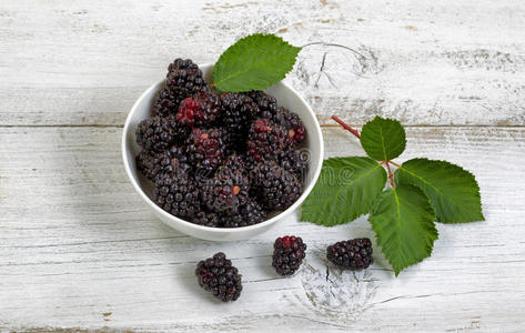 新鲜采摘的黑莓在乡村白色木板上