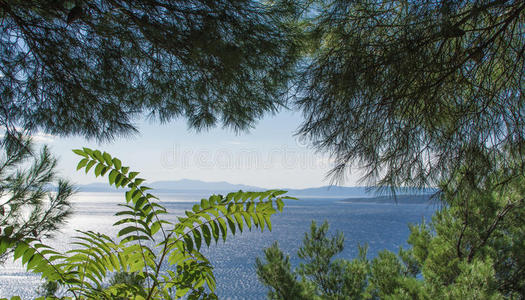 场景 夏天 克罗地亚 框架 季节 亚得里亚海 海岸 天空