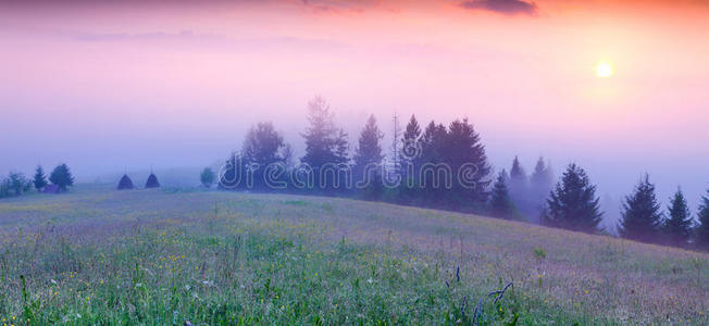 风景 颜色 薄雾 国家 太阳 美丽的 草坪 环境 天空 好极了