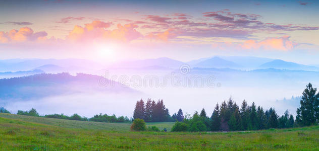 颜色 国家 环境 草地 风景 阳光 薄雾 早晨 旅行 好极了
