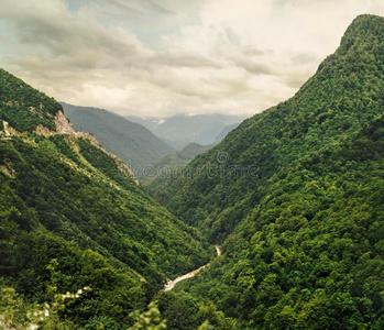 峡谷 美女 森林 地区 低地 土地 灵感 公园 天线 风景