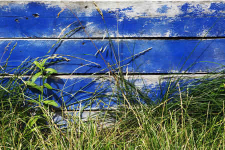 蓝色涂有草的木栅栏