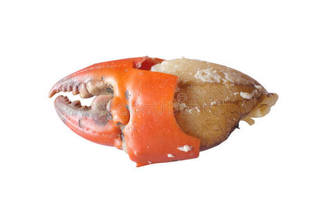 煮熟的爪蟹