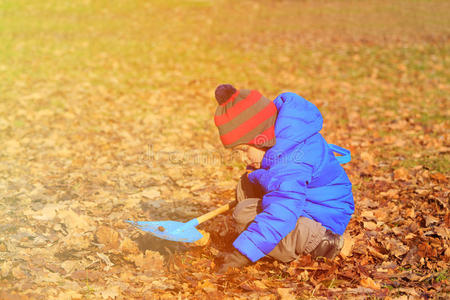 秋天公园里的小男孩在挖洞