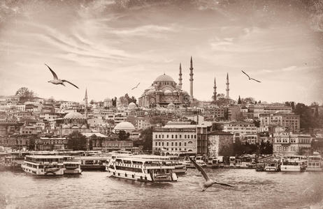 伊斯坦布尔 城市 天空 亚洲 建筑学 穹顶 城市景观 地标