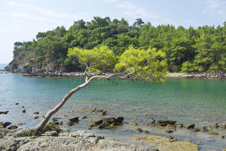 phaselis，土耳其