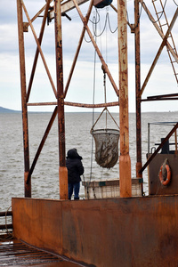 三文鱼 处理 严格的 钓鱼 植物 卸载 工厂 转移 围网