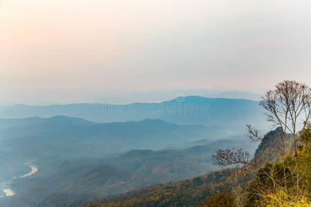 地形 丛林 天蓬 黄昏 国家的 黎明 薄雾 场景 自然 远景