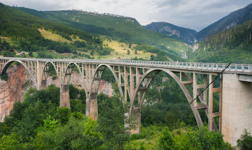 杜德维卡拱塔拉桥黑山。