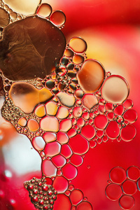 波基 雕塑 液体 圆圈 泡沫 泼洒 圣诞节 集中 浮动 反射