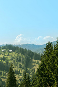 乡村山地景观