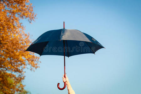 蓝色背景手握雨伞