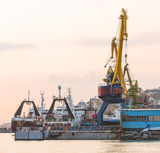 海湾 行业 涟漪 拒绝 自然 索具 复制 海岸线 建设 范围