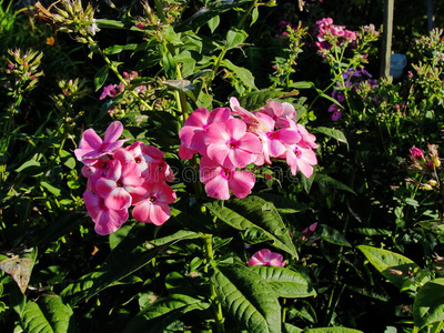 五光十色背景图片