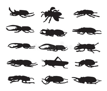 收集 纳图 偶像 绘画 天线 瓢虫 生物 动物 板球 艺术