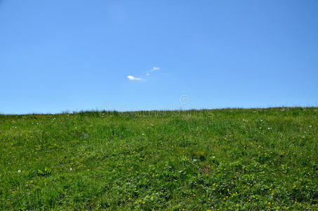 地平线 场景 草坪 国家 风景 植物 土地 春天 夏天 牧场