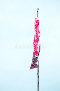 锦鲤鱼旗