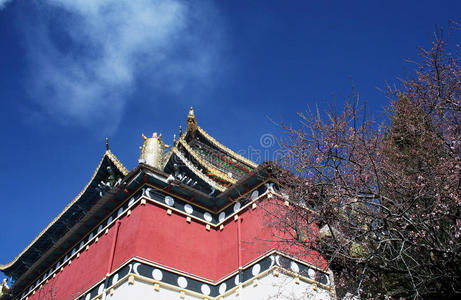 寒冷的 藏民 传统 德钦 香格里拉 美丽 寺庙 伟大的 古老的
