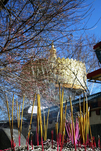 德钦 藏民 西藏 古老的 传统 美丽 寺庙 香格里拉 伟大的