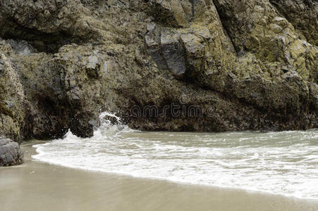 康沃尔 轻轻地 矿物 小海湾 蜥蜴 地质 蛇纹石 岩石 打破