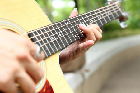 声音 木材 加强板 音乐家 紫檀 吉他 手指 运动员 音乐