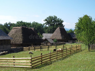 建筑 罗马尼亚 农场 古老的 锡比乌 喀尔巴阡山 森林 夏天