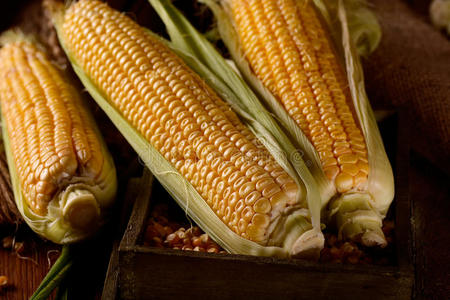 烹饪 玉米芯 素食主义者 食物 农业 蔬菜 粮食 玉米 圆面包