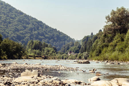 美女 岩石 国家的 场景 美丽的 旅行 夏天 健康 喀尔巴阡山