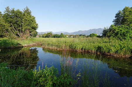 平原 法国 旅游业 自然 沼泽 科西嘉岛 海岸 风景 旅行