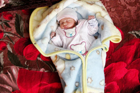 新生女婴睡觉新生女婴睡觉照片