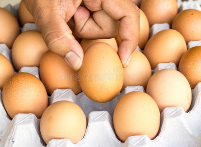 手工和面板中保存的鸡蛋