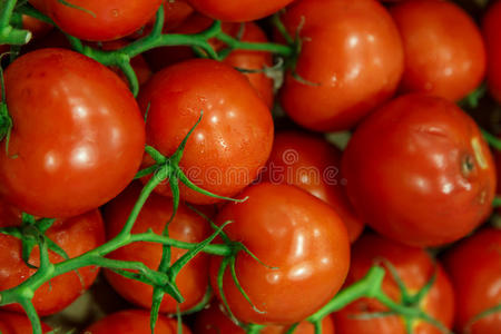 美味的 生产 特写镜头 农民 农业 夏天 市场 水果 番茄