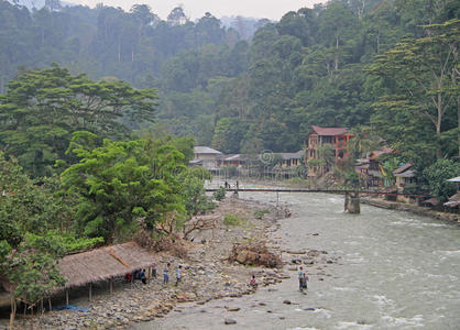 风景 美丽的 中心 弯曲 印度尼西亚 场景 赤道 丛林 自然