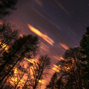闪烁 幻想 明星 森林 圣诞节 月亮 星光 美丽的 天文学