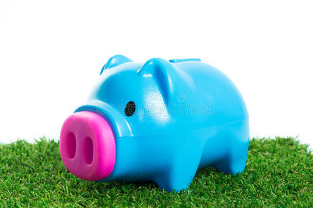 现金 银行 安全 信用 热的 小猪 眼睛 粉红色 首都 存款