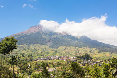 目的地 大米 水坑 稻田 亚洲 风景 领域 印度尼西亚 旅行