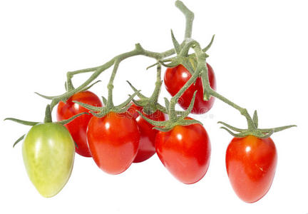 植物 梅子 番茄 素食主义者 美味的 食物 农业 樱桃 维生素