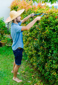业余爱好 灌木 园艺 活动 生长 闲暇 农民 保护 帽子