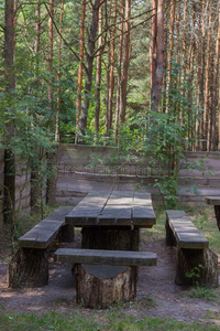 森林 树叶 木材 木板 自然 外部 野餐 桌面 风景 国家