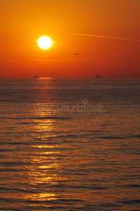 海滩 假日 海岸线 夏季 场景 地平线 傍晚 余辉 极光