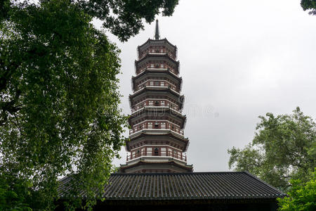 中国人 宝塔 佛教徒 地标 城市 榕树 旅游业 广州 历史的