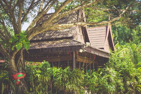 泰国热带岛屿菲菲岛的豪华度假村