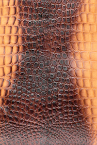 棕色鳄鱼皮革，作为背景